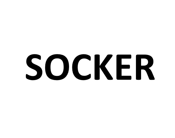 LICENCIA OFICIAL - SOCKER